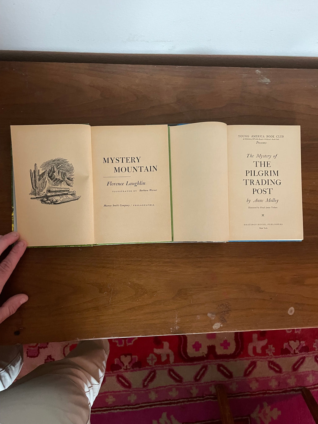 1964 murder mysteries