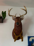 mule deer