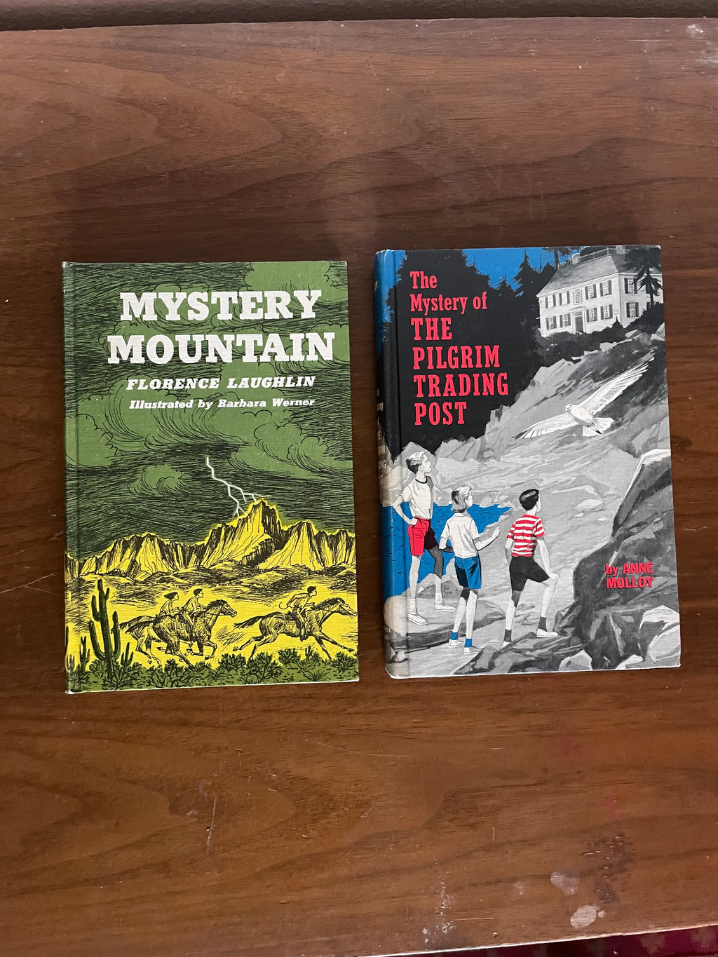 1964 murder mysteries